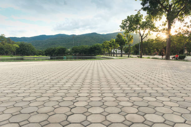 Best Driveway Paving Contractor  in Plainfield, IL
